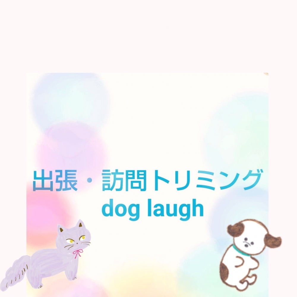 出張・訪問トリミング　doglaugh（ドッグラフ） - 大西　愛弓