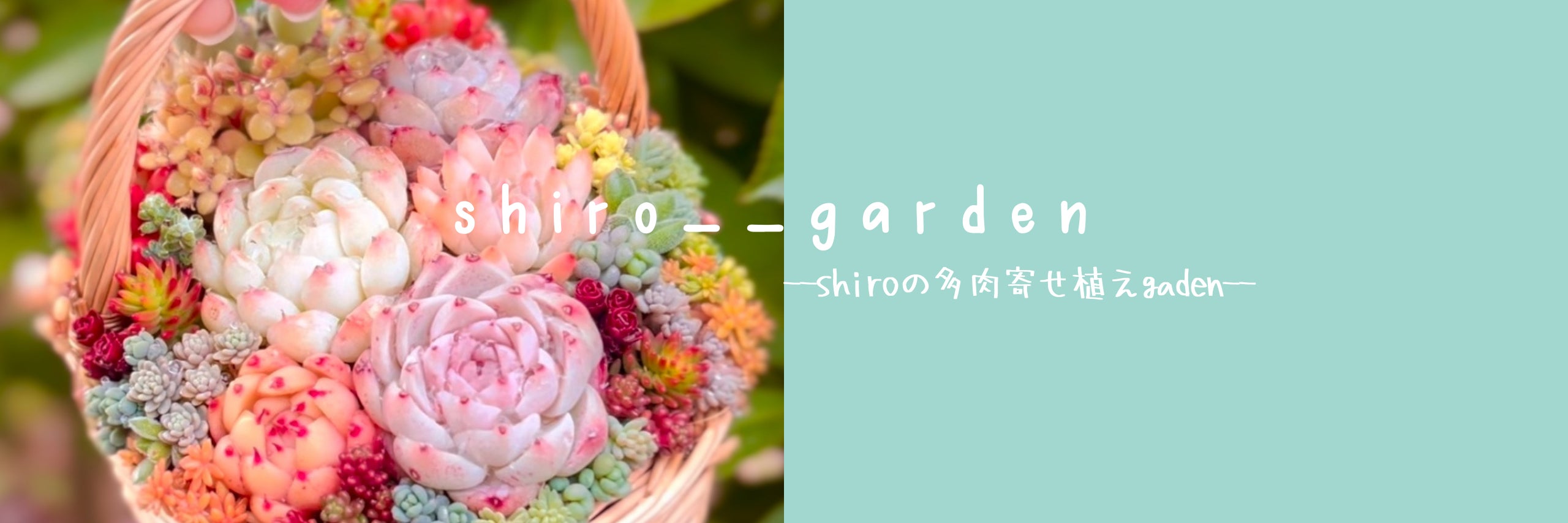 shiro garden
