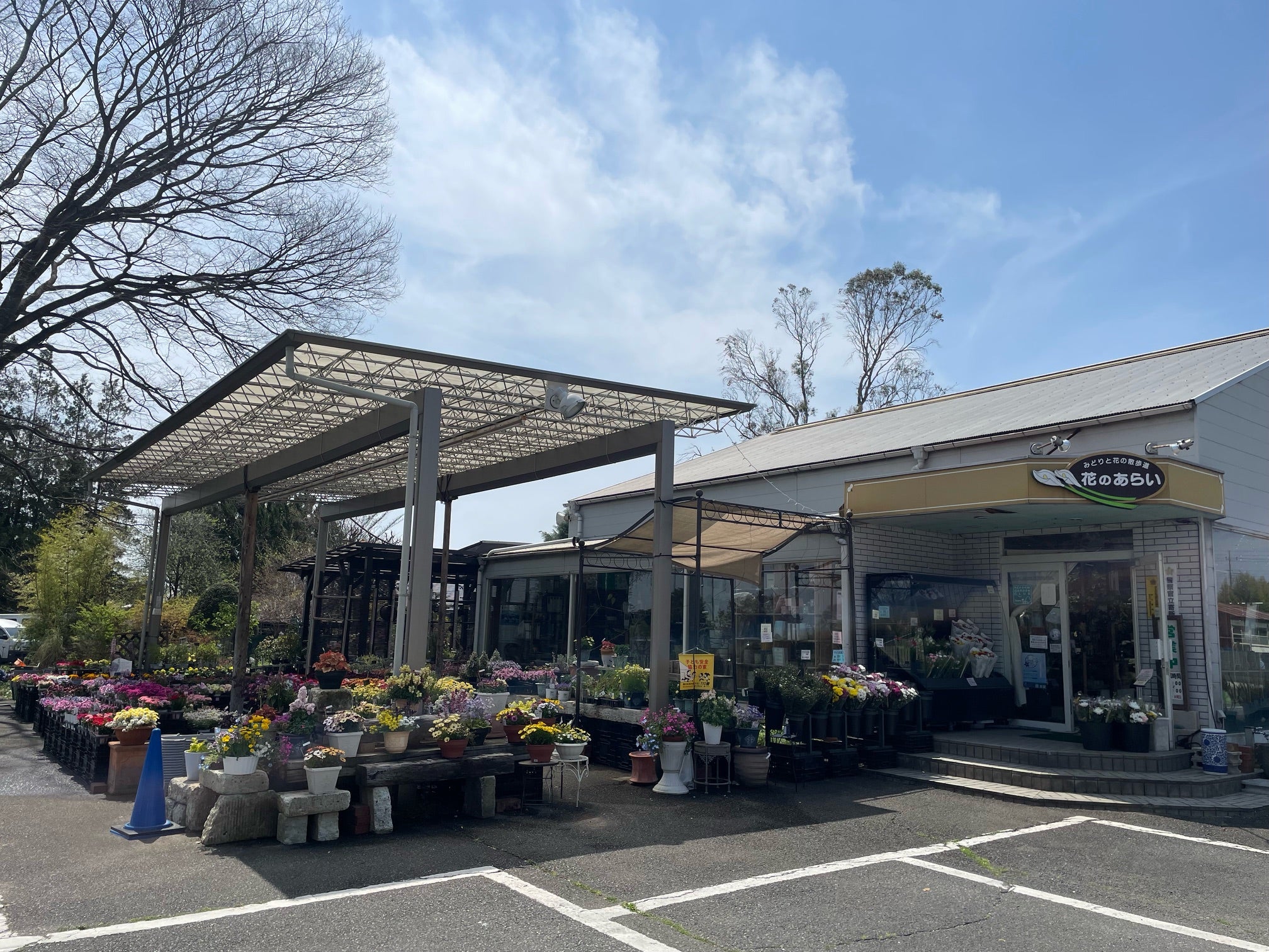 花のアライ_1枚目