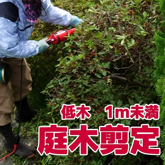 榮倉theGARDEN 東員営業所 -お庭のお手入れ専門店-の【庭木剪定】低木　1m未満　　2,200円〜/本 （税込）の写真
