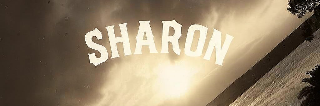 Sharon  表参道