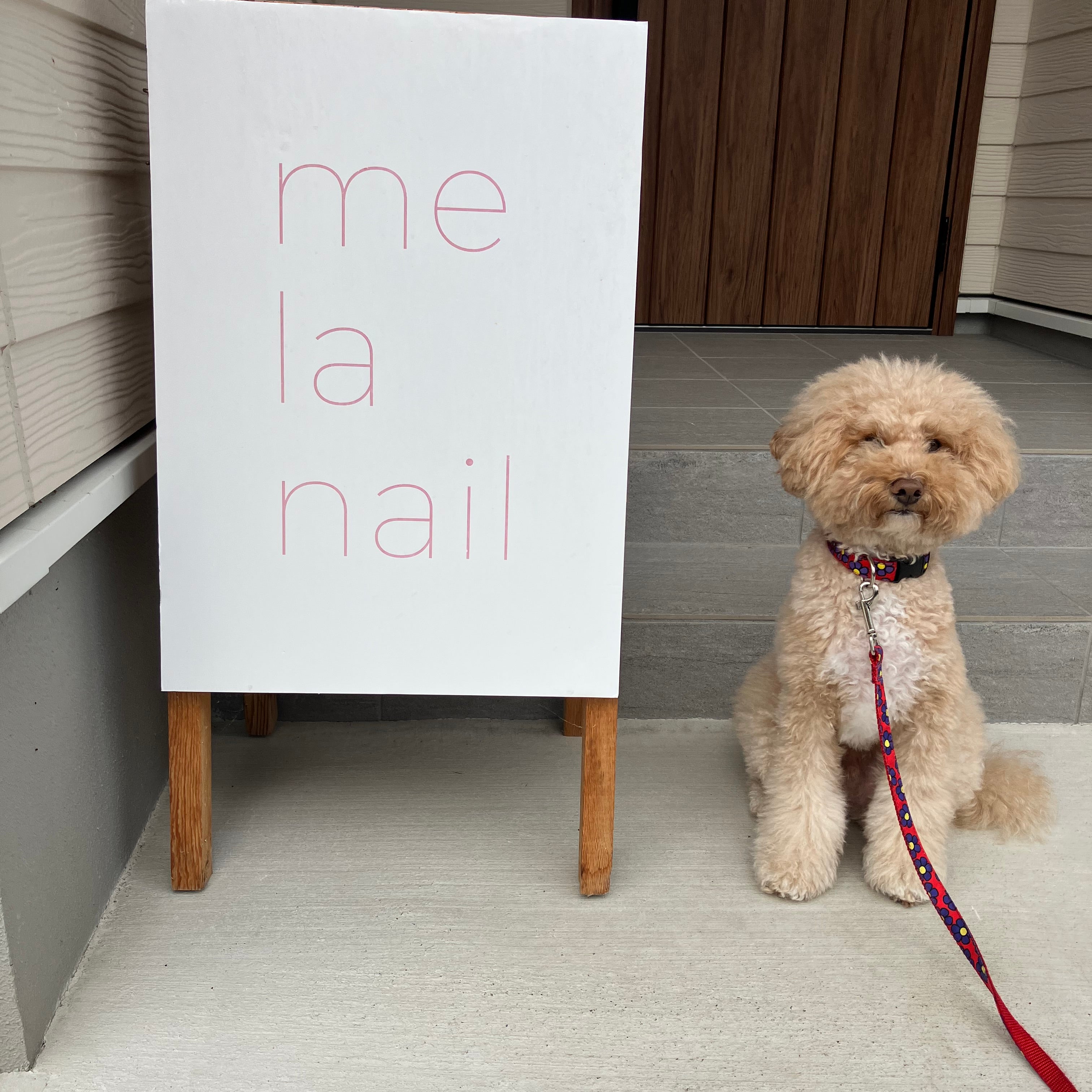 上品ネイル専門店【me la nail】_3枚目
