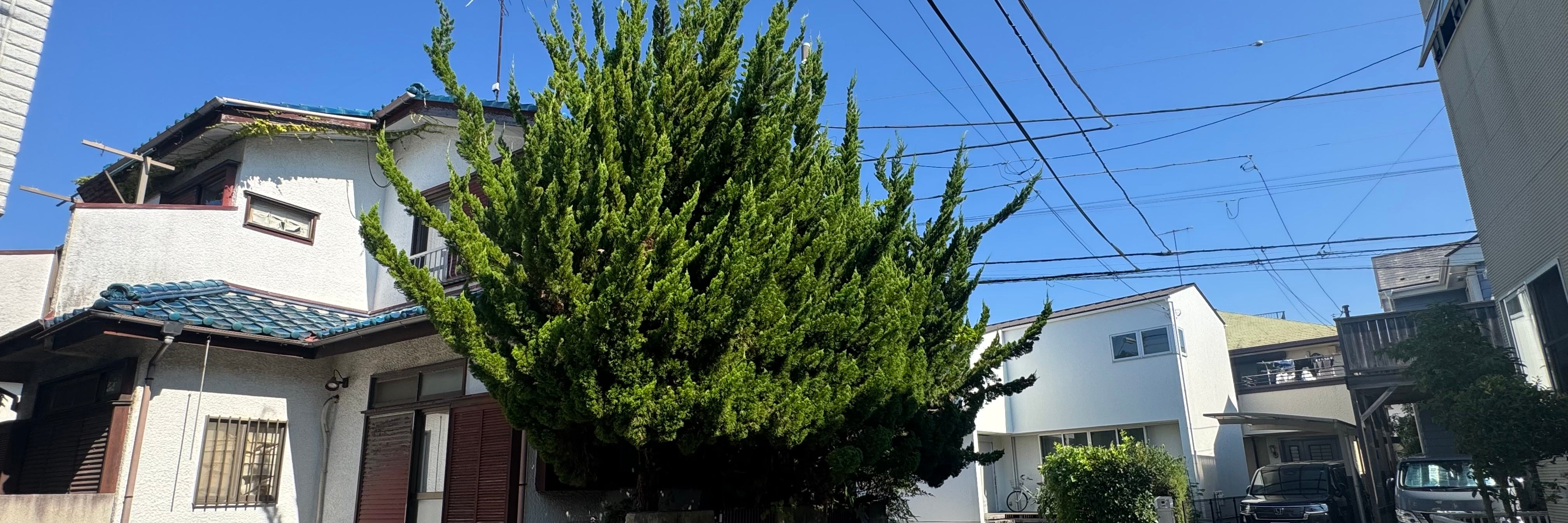富造社_1枚目