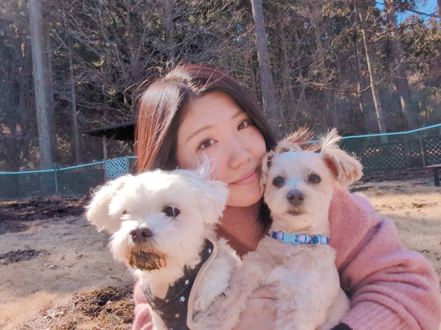 老犬シッター ウィズ【栃木県】 - 山本なつき