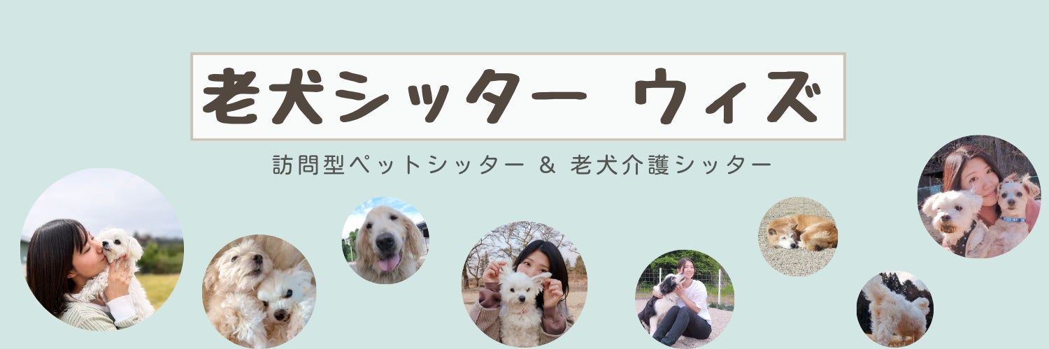 老犬シッター ウィズ【栃木県】