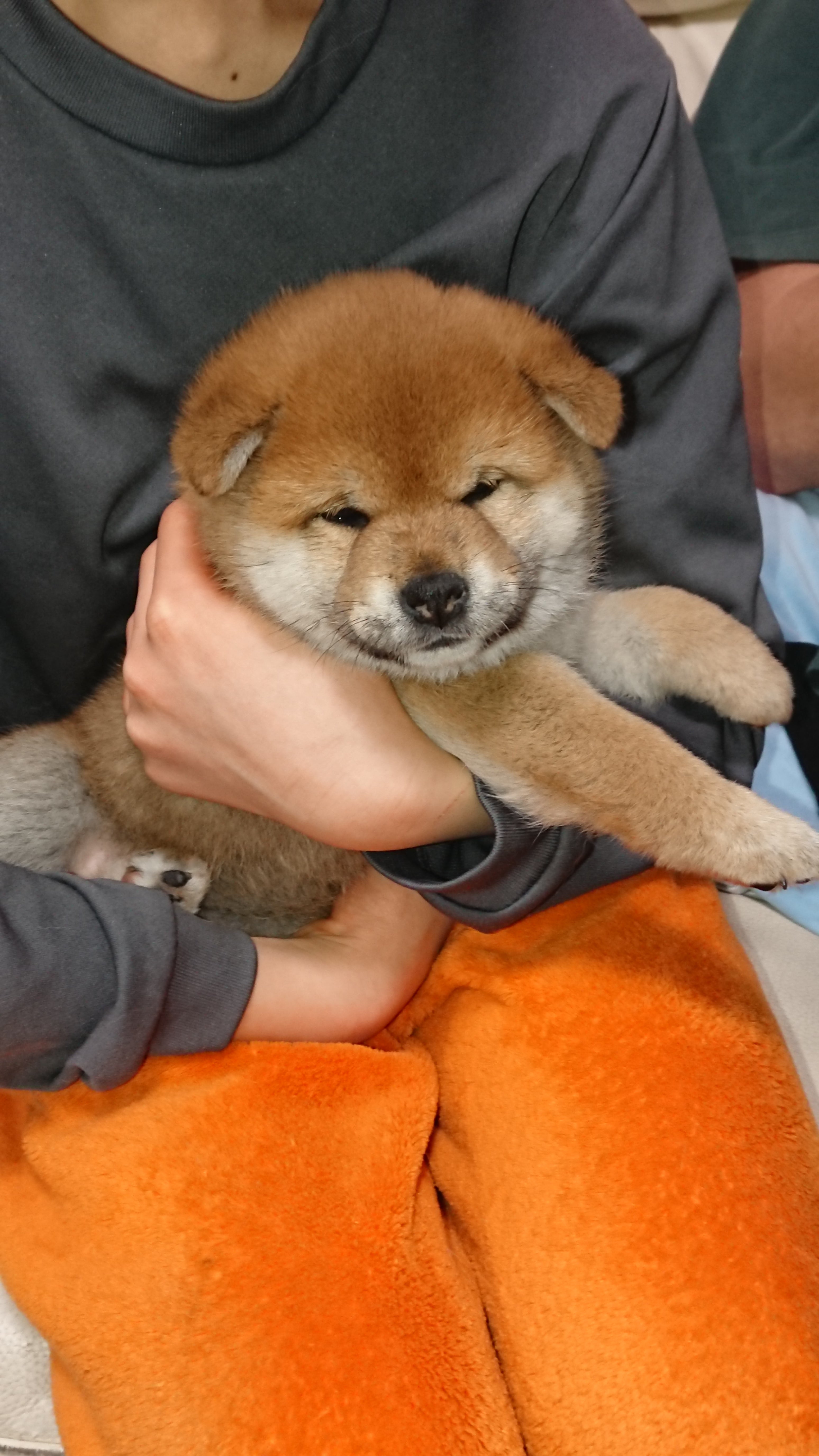新潟柴宮荘の飼育相談・アフターサポートの写真