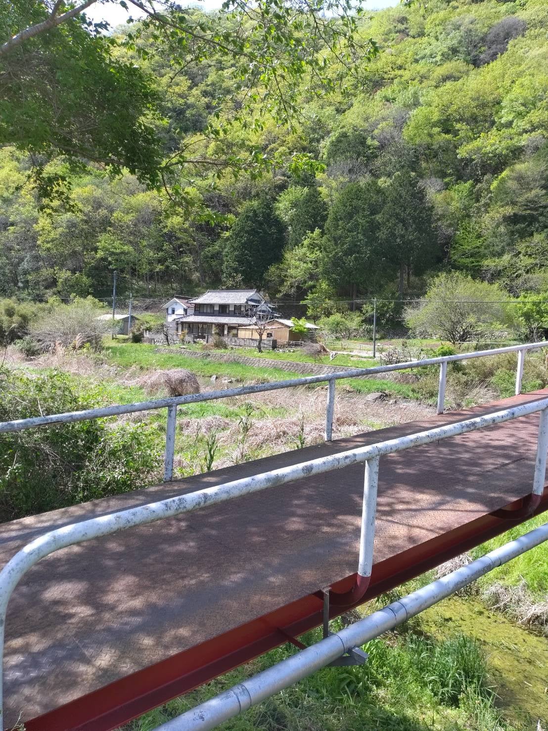 整体療養所「民俗舞踊サロン」_3枚目