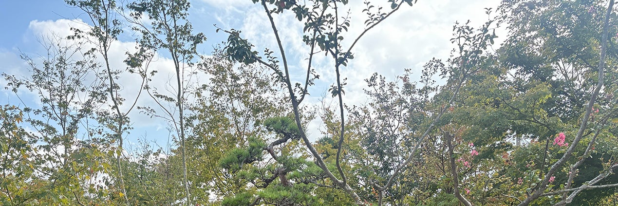 あさみ造園
