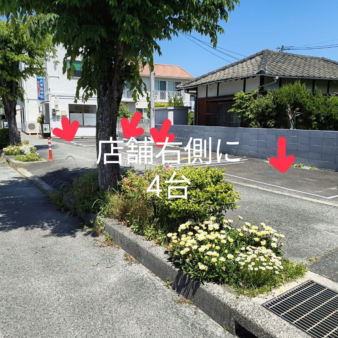 青葉接骨院・はりきゅう治療院_3枚目