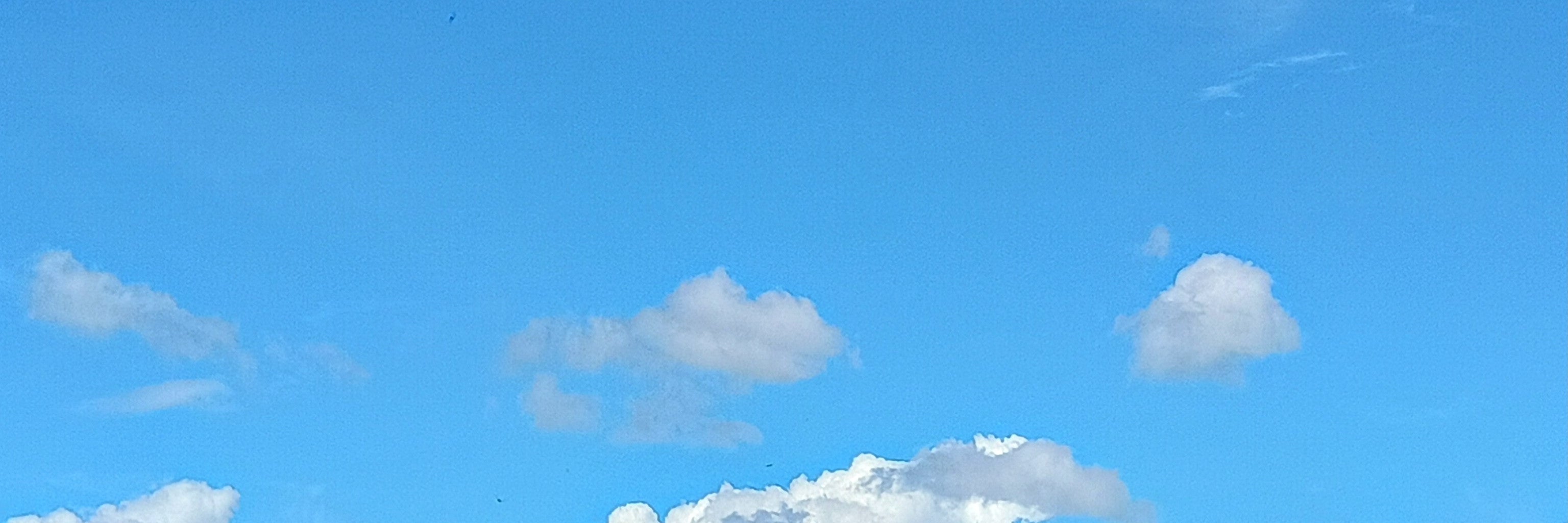田村〈侍〉大工工業所