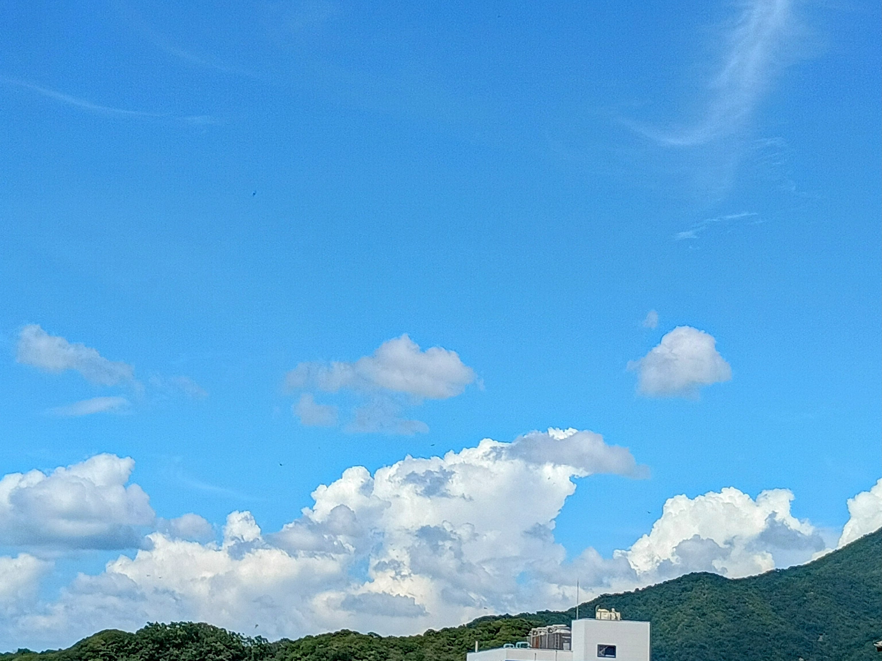 田村〈侍〉大工工業所_1枚目