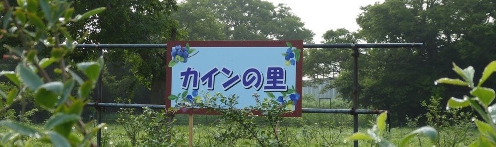 カインの里のブルーベリー農園見学の写真