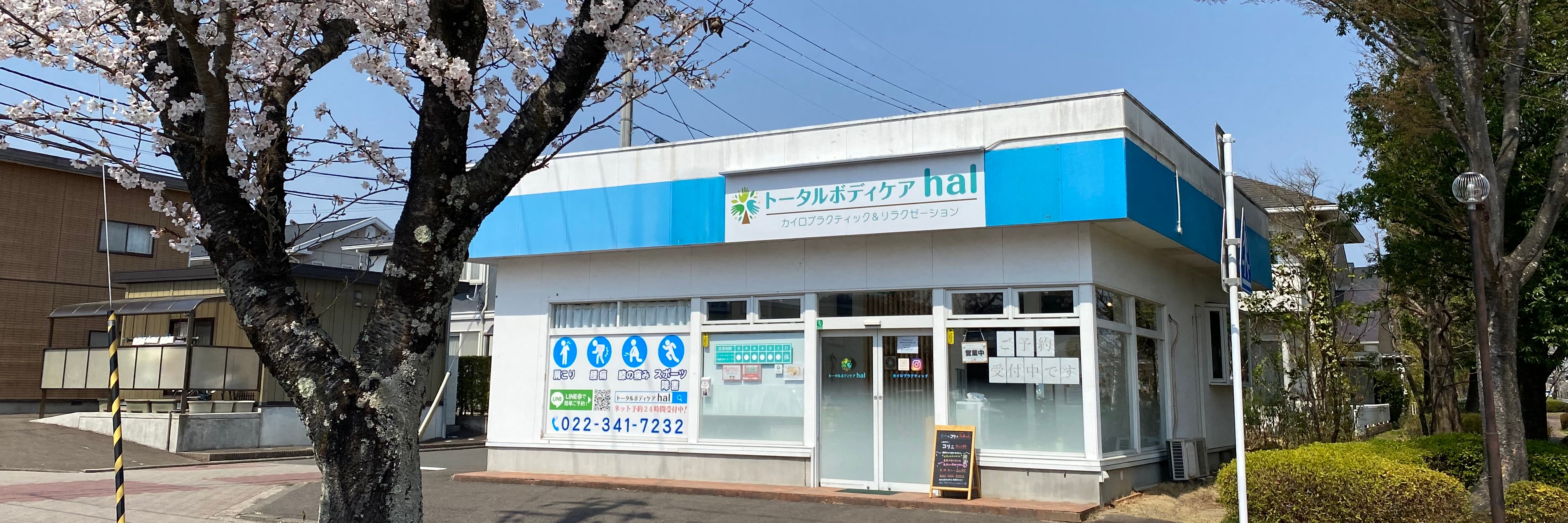 トータルボディケアhal
