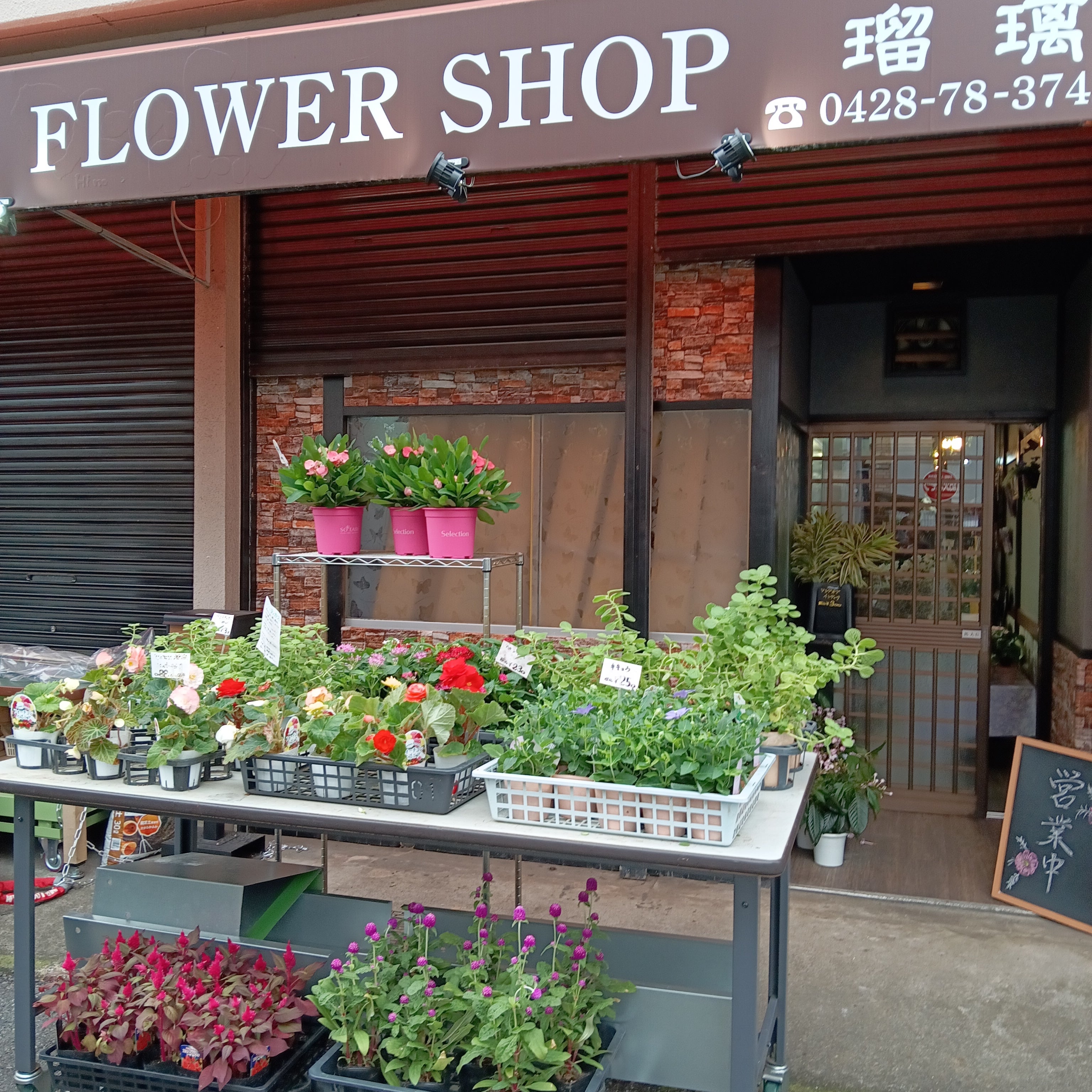 FLOWERSHOP　瑠璃_1枚目