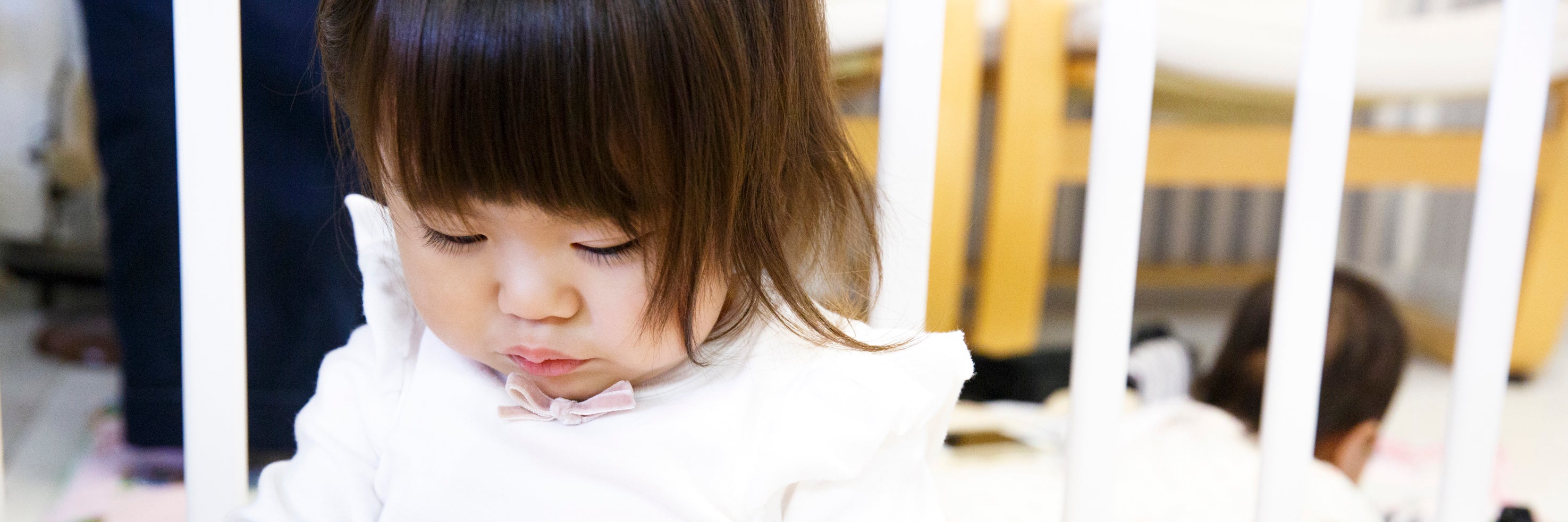 ゆとりのタネ_1枚目