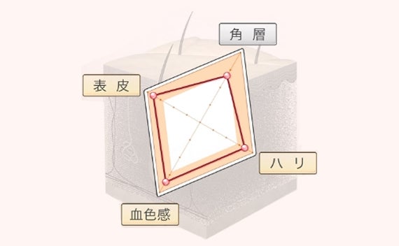 資生堂の皮膚研究を活用｜数値で見える肌診断（15分／30分）の写真