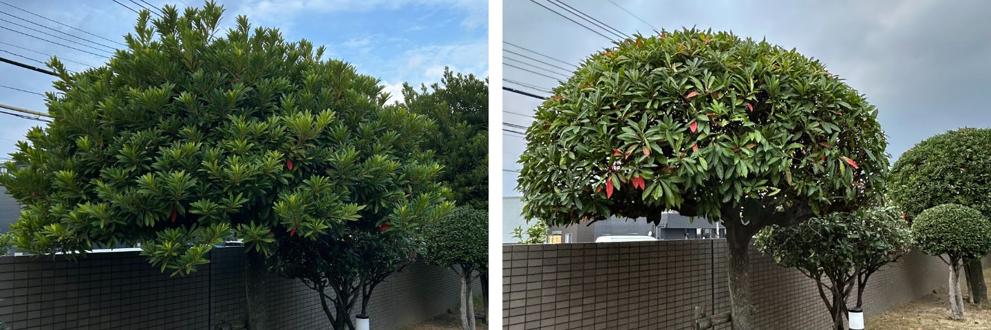 株式会社伊崎美造