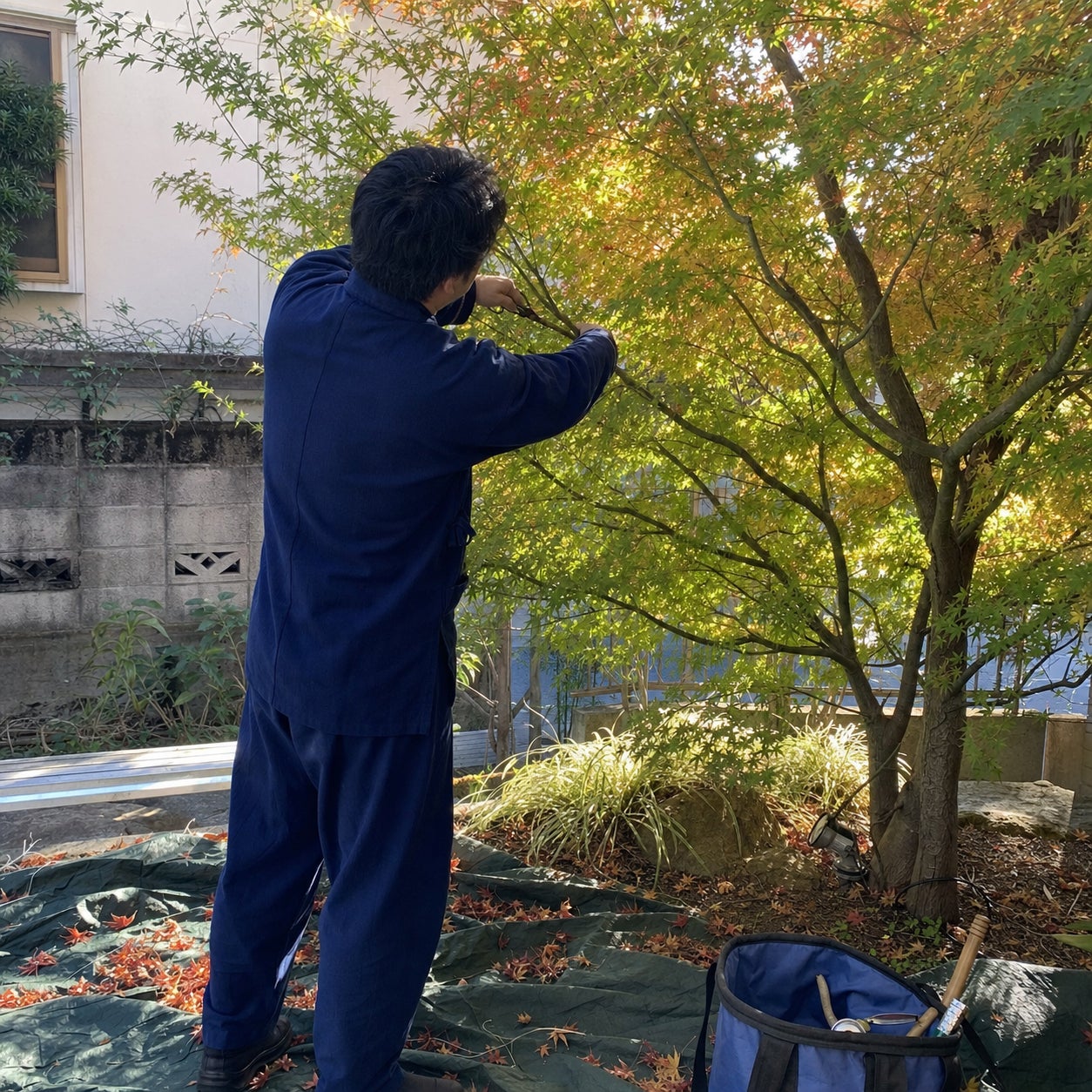 庭彩堂_2枚目