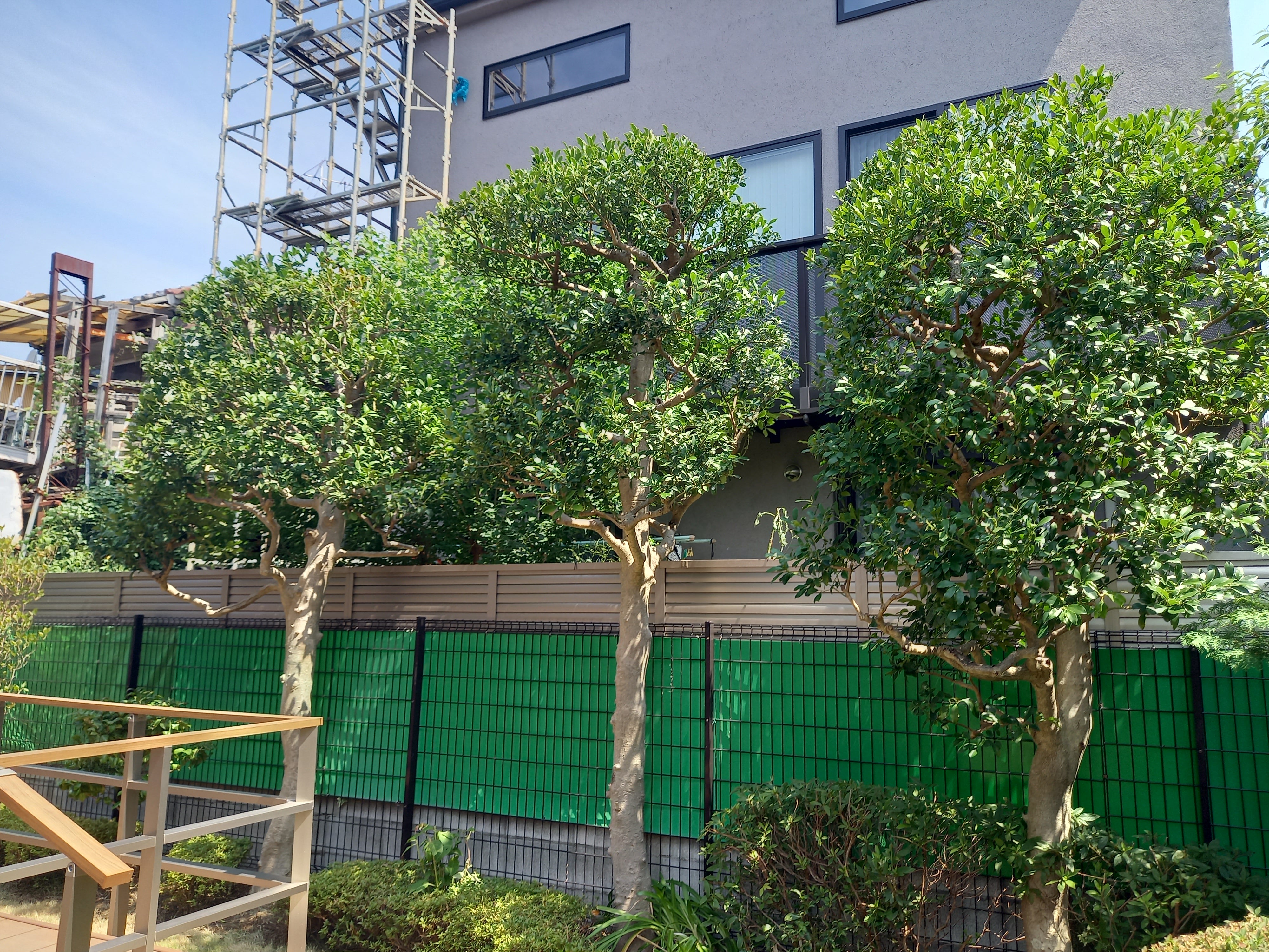 株式会社鹿島造園のどんなお庭でも当社にお任せください‼️の写真