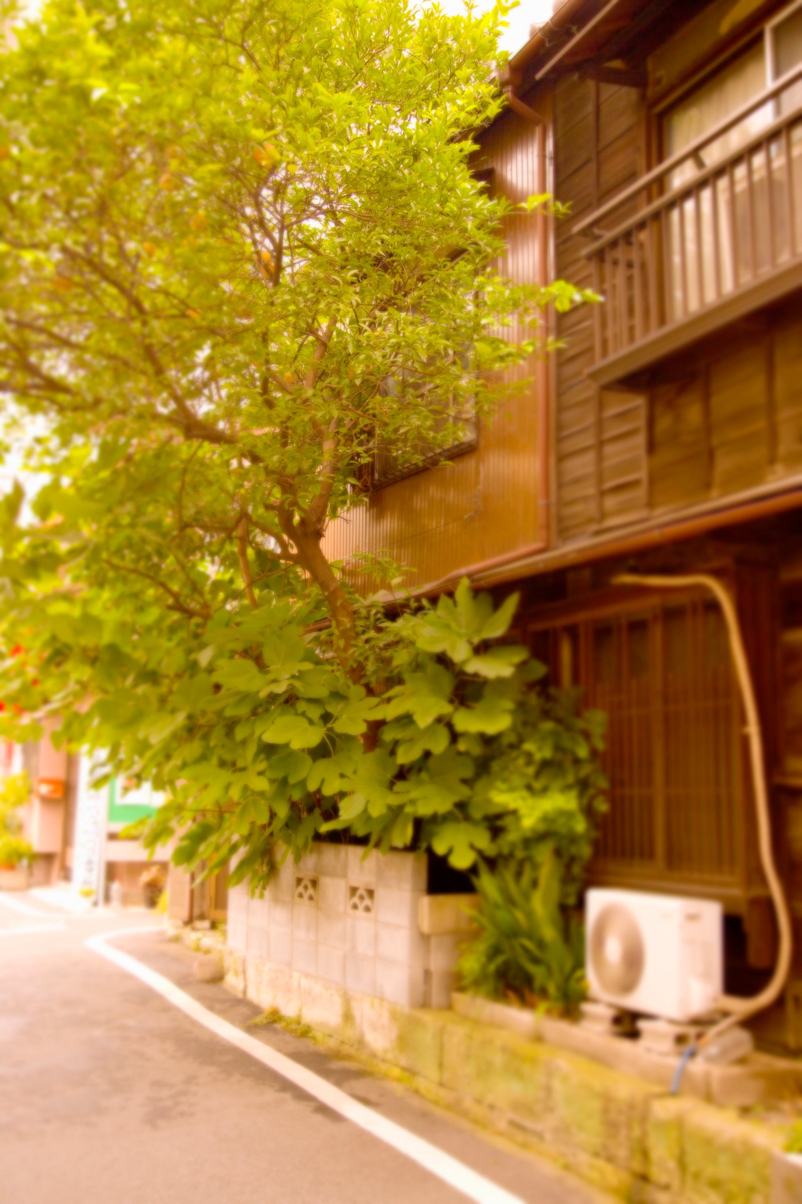 TMGアールエコの昭和レトロ雑貨の写真