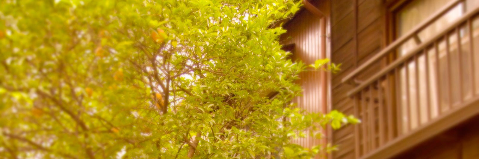 TMGアールエコ_2枚目