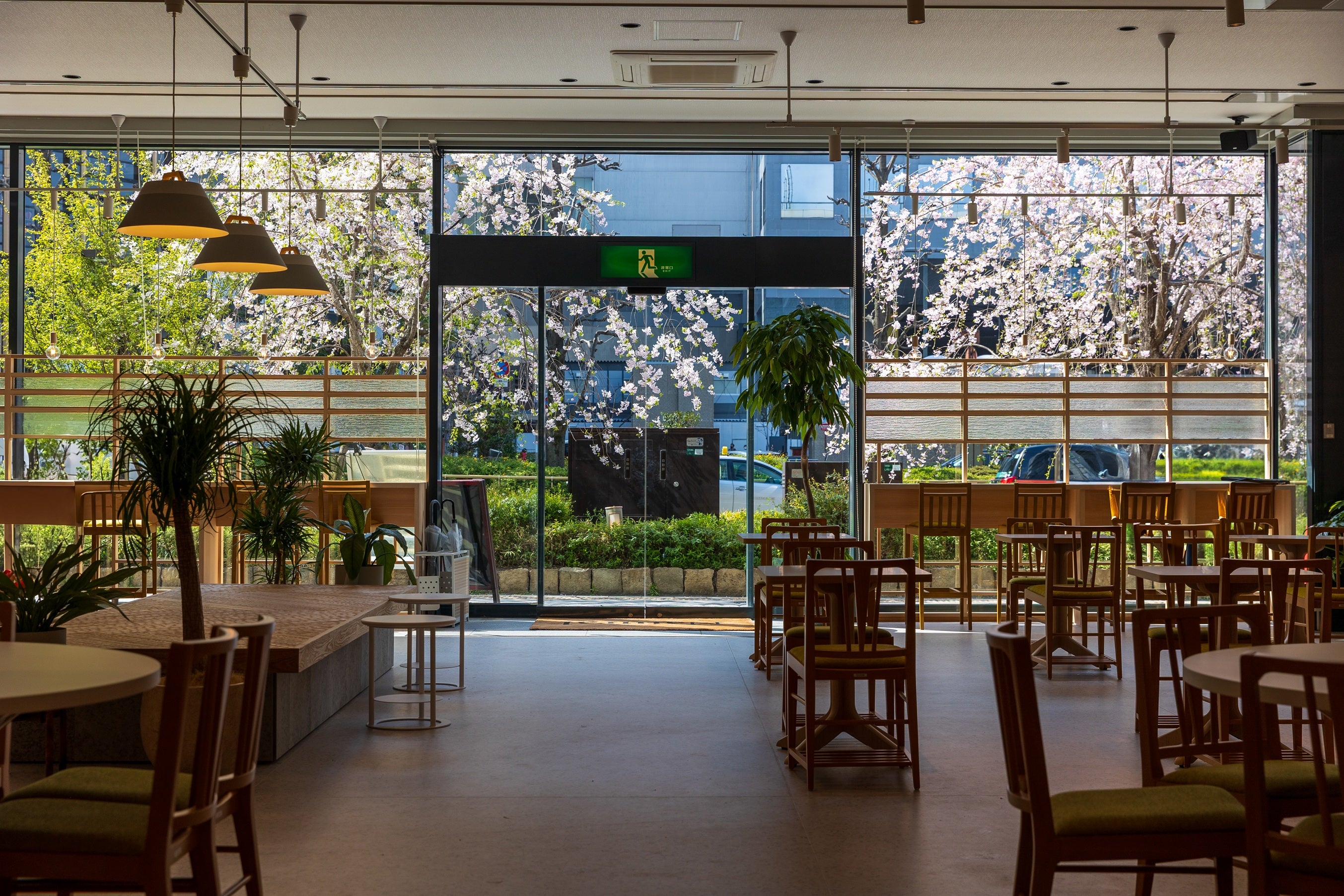 Natural cafe 京都駅前店_2枚目