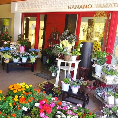2017/09/12に花のヤマト 駅前店が投稿した、外観の写真