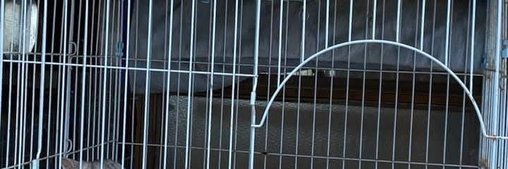 犬猫プラネット_2枚目