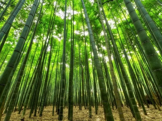完全予約制｜あなただけの神聖な場の写真