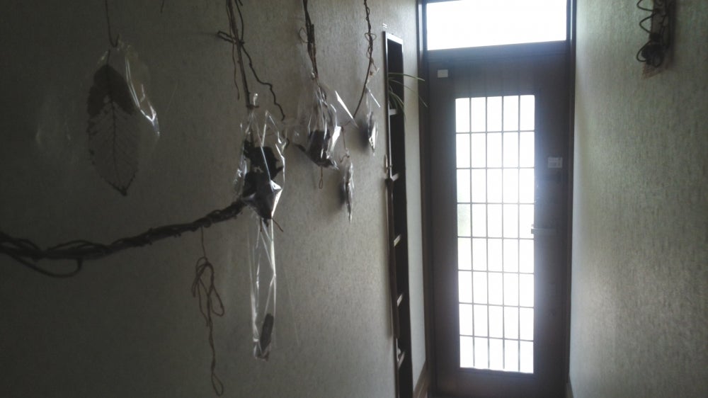 たかはし均整院の姿勢ケア施術の写真