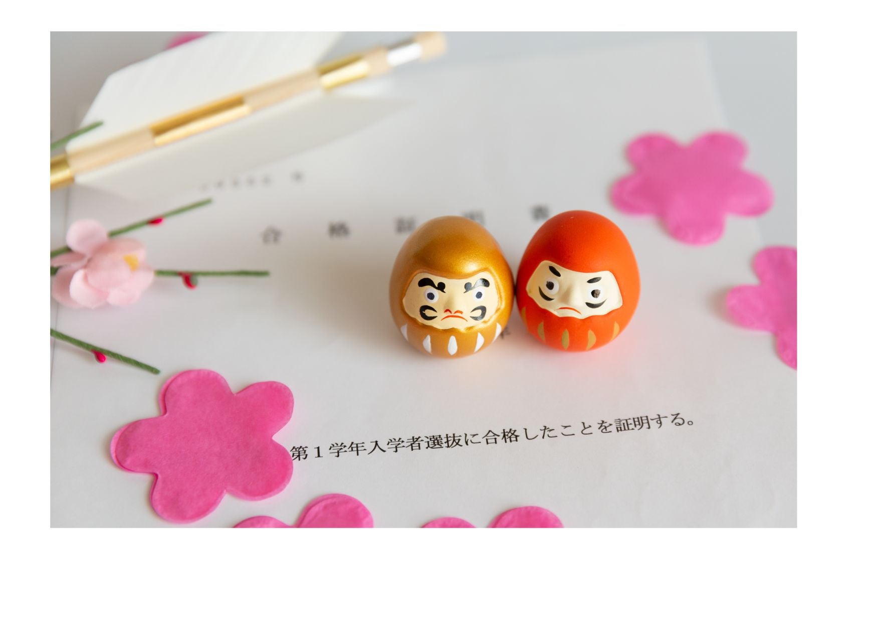 最近の高校入試の実績の写真