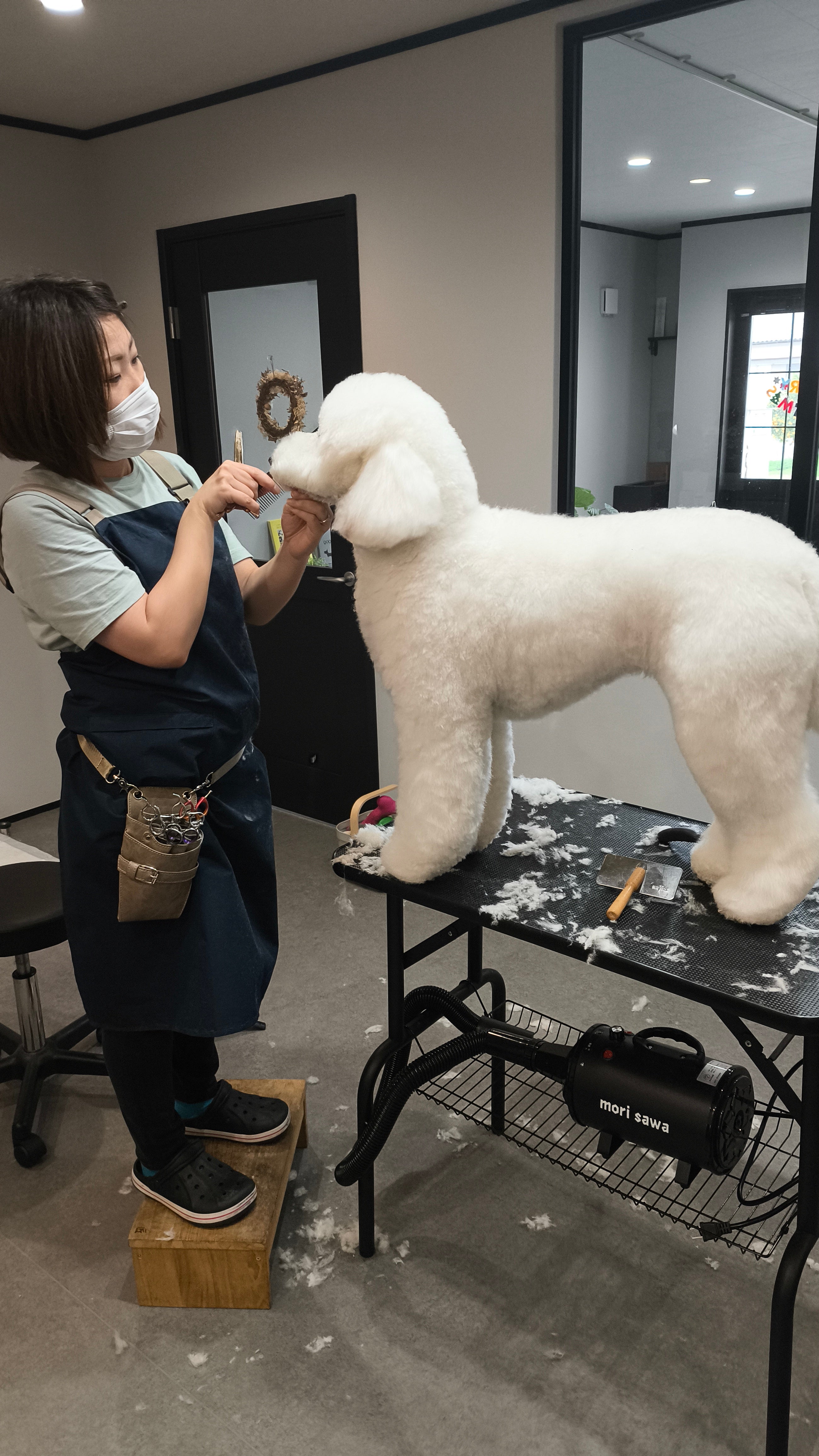 Dog Salon &amp; Photo 909_3枚目