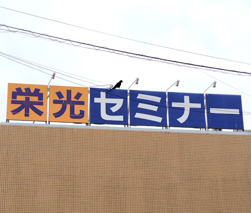 栄光セミナーの紹介写真_2枚目