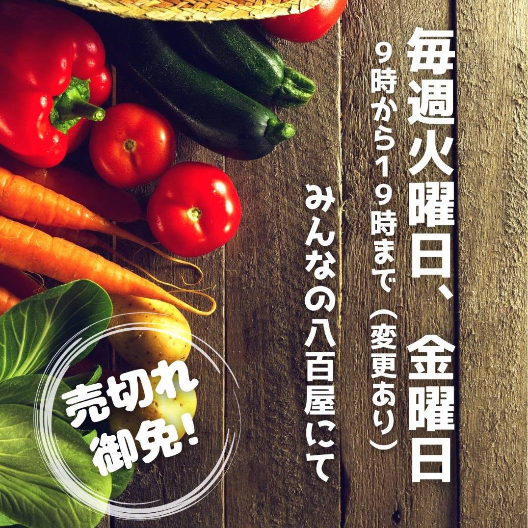 マイゴルフスタジオ_1枚目