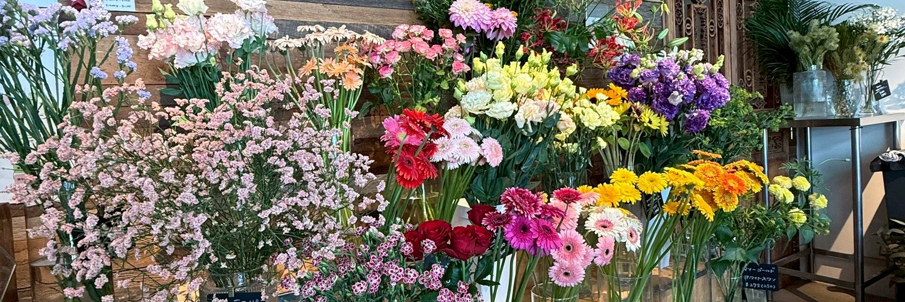 marichi flowers ハナレ