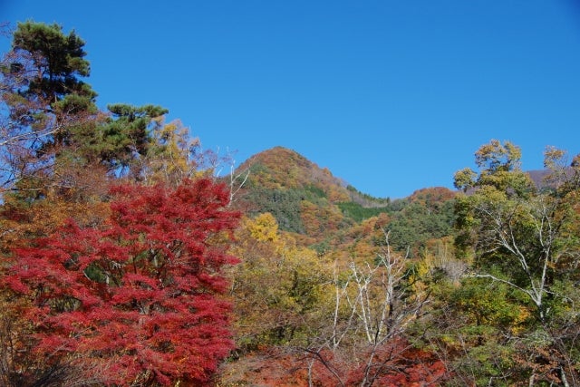 ☆10月の予定☆（祝日営業あり）の写真