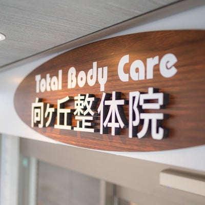 Total Body Care 向ヶ丘整体院_1枚目