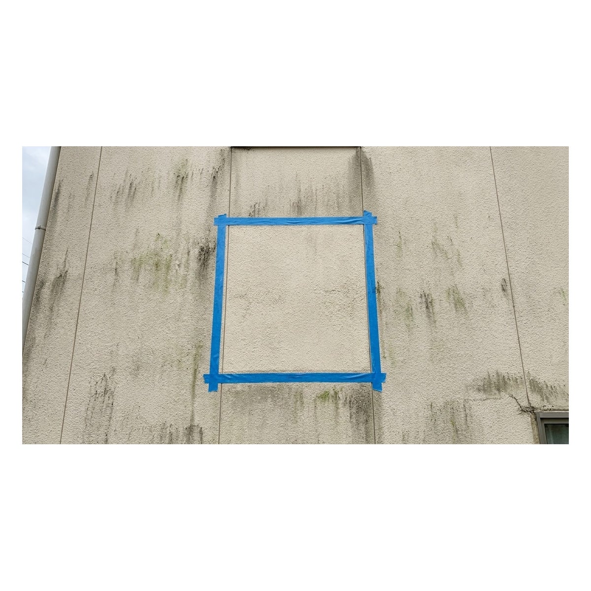 シバクリーンの部分お試し洗浄の写真