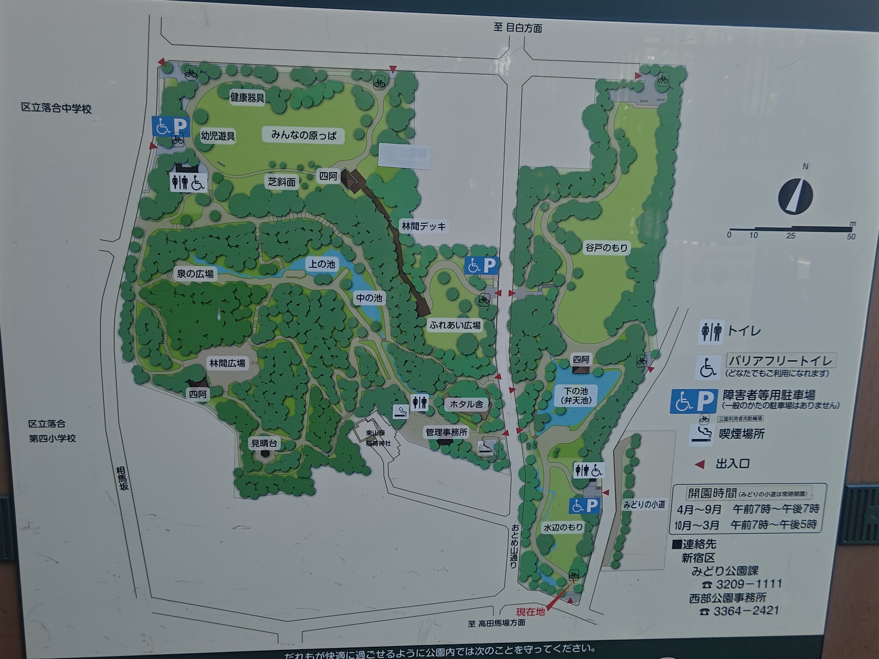 新宿区　おとめ山公園_1枚目