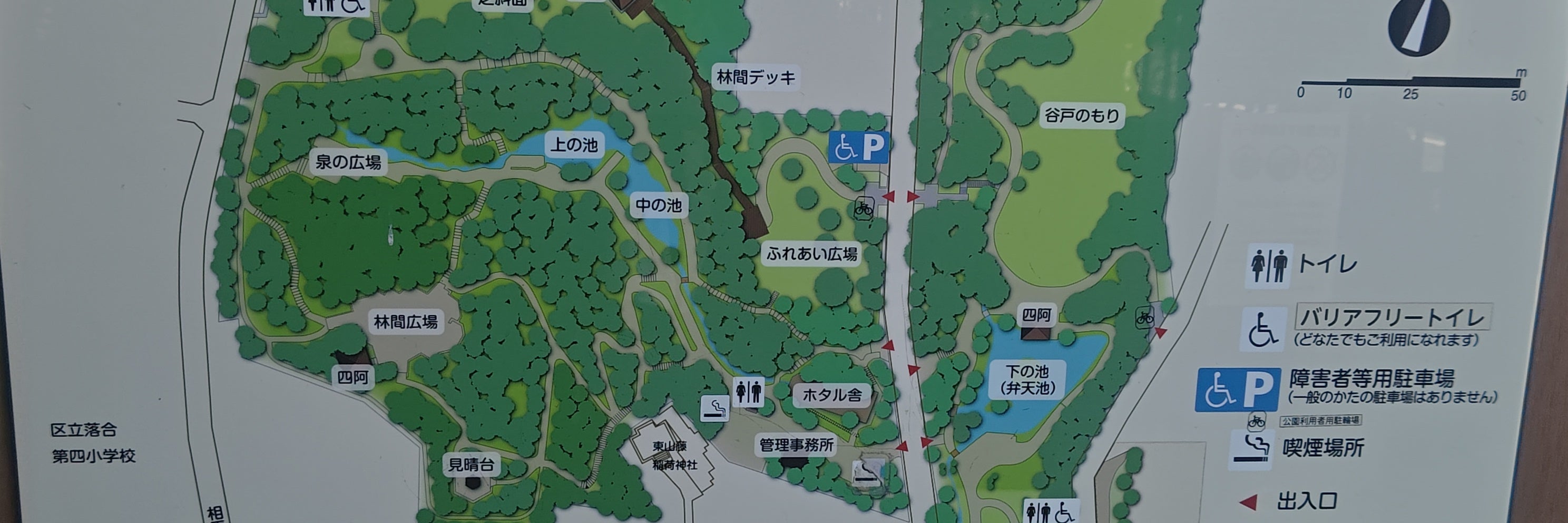 新宿区　おとめ山公園