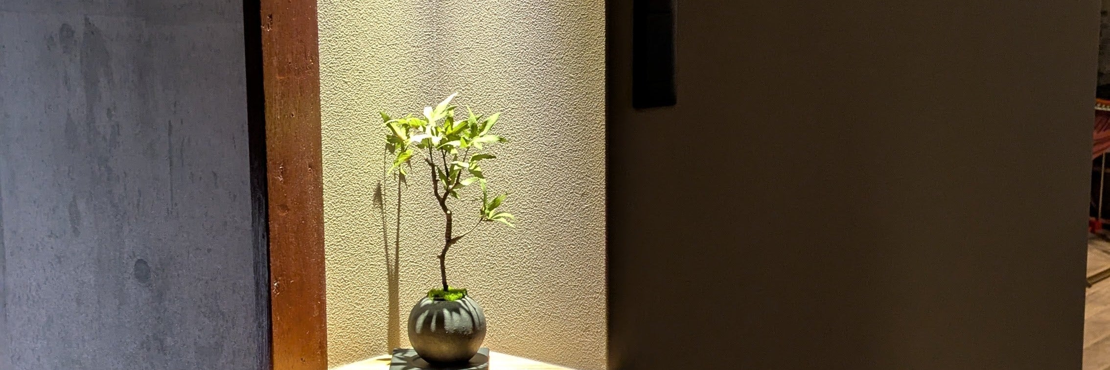 和建創