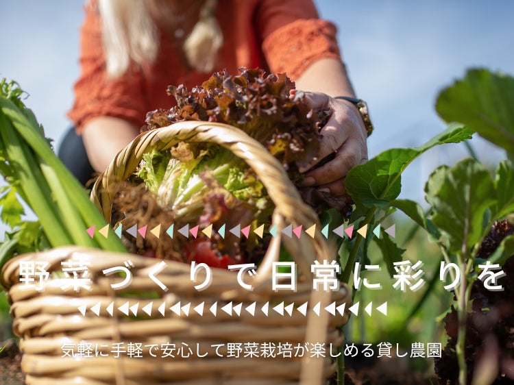 ちょこっと農業　岸和田南農園第二_1枚目