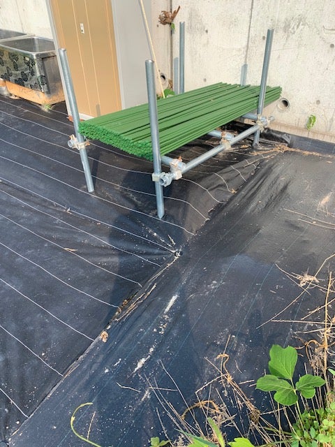 ちょこっと農業　岸和田南農園第二_3枚目