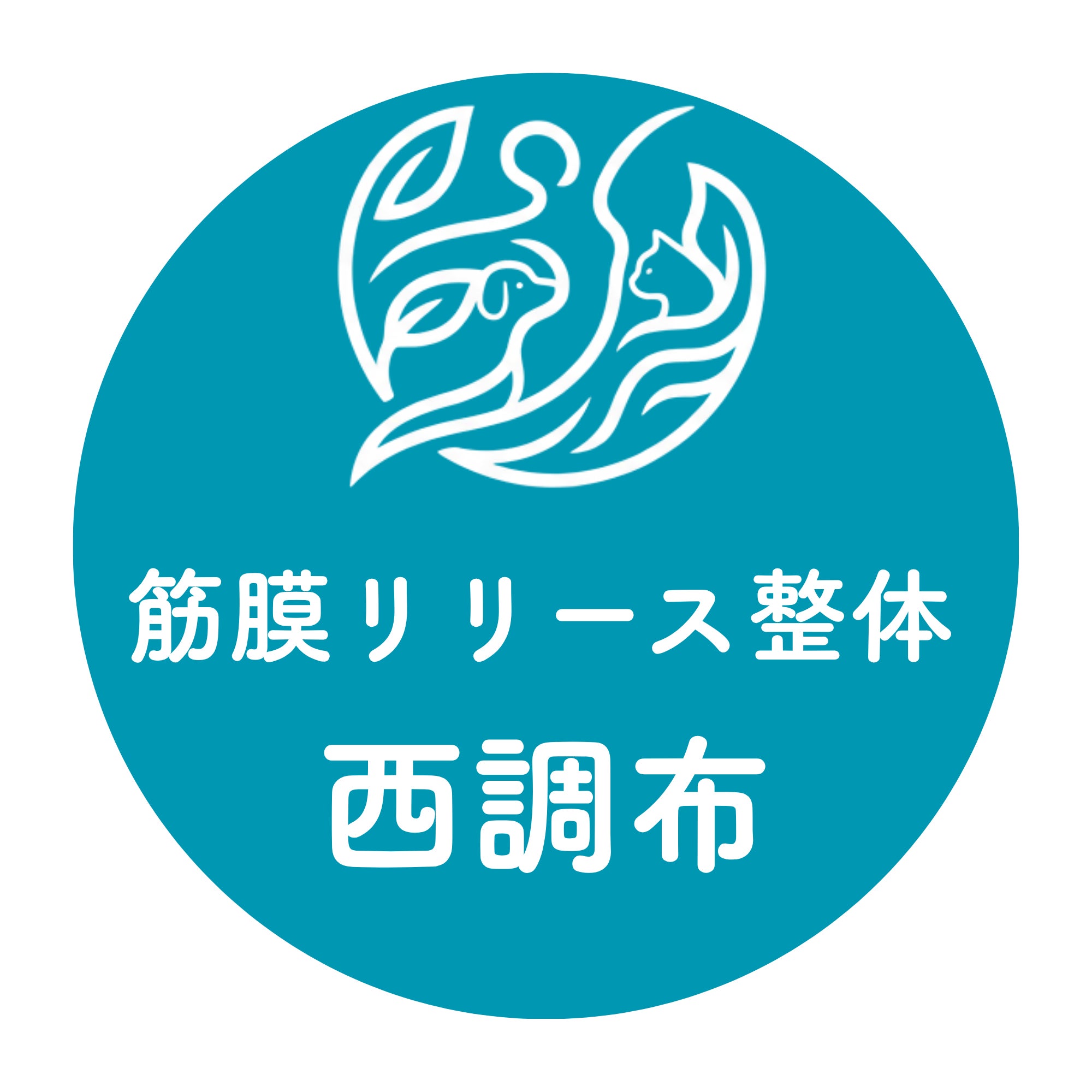 筋膜リリース整体西調布_1枚目
