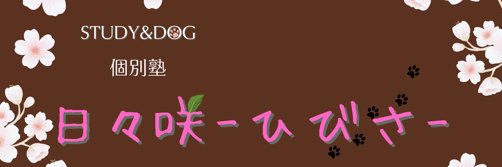 STUDY＆DOG　個別塾　日々咲　-ひびさ-