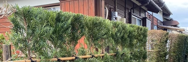 西原造園_2枚目