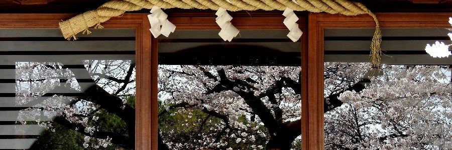 蓮華寺附属哲学堂動物霊園 東京のペット霊園 ペット供養 動物供養
