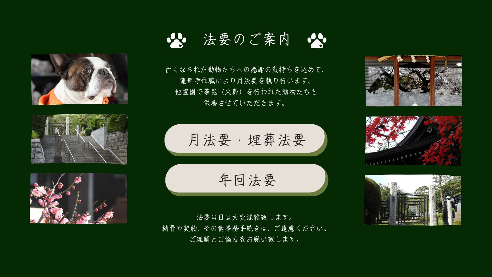 月法要・埋葬法要・年回法要のお知らせの写真