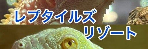 爬虫類カフェ_レプタイルズリゾート