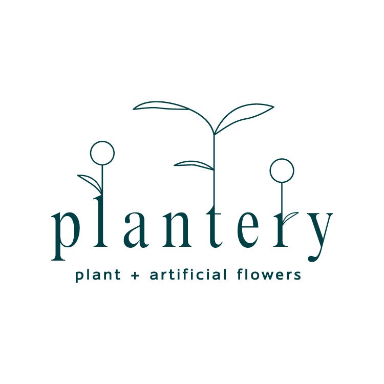 plantery_1枚目